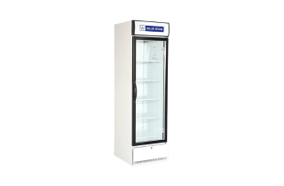 VISI COOLER SINGLE DOOR